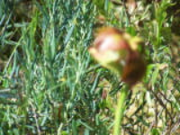 100_1582.jpg